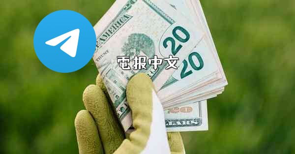 電报中文