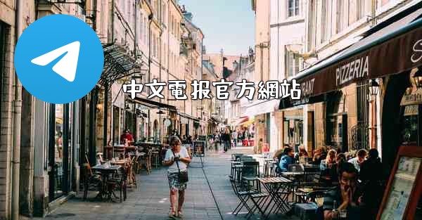 中文電报官方網站