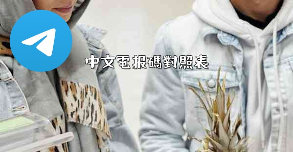 中文電报碼對照表