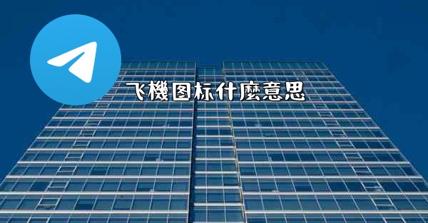 飞機图标什麼意思