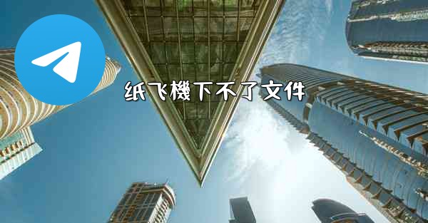 <b>纸飞機下不了文件</b>