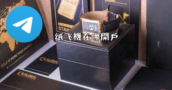 纸飞機在哪開戶