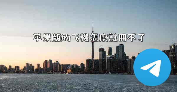 苹果版的飞機怎麼註冊不了