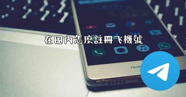 在國內怎麼註冊飞機號