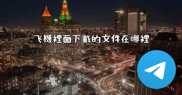 飞機裡面下載的文件在哪裡