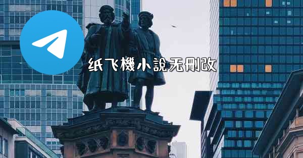 纸飞機小說无刪改