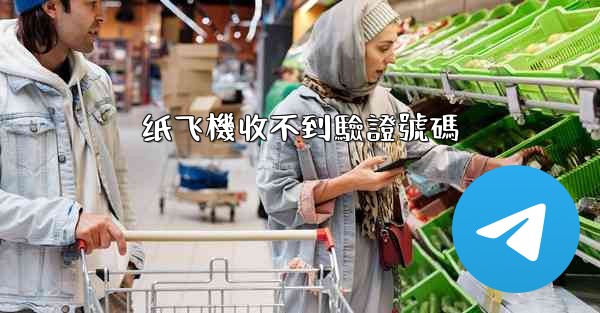 纸飞機收不到驗證號碼