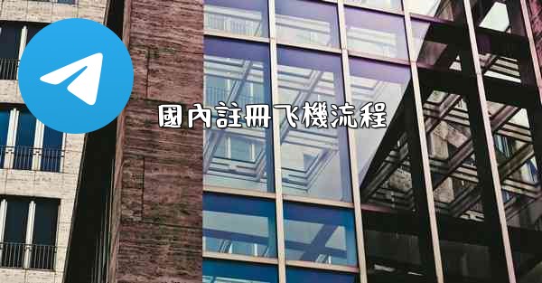 國內註冊飞機流程