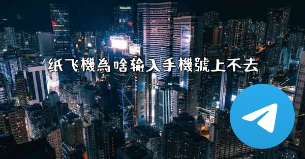 纸飞機為啥输入手機號上不去