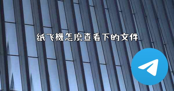 纸飞機怎麼查看下的文件