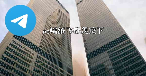 pc端纸飞機怎麼下