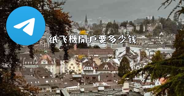 纸飞機開戶要多少钱