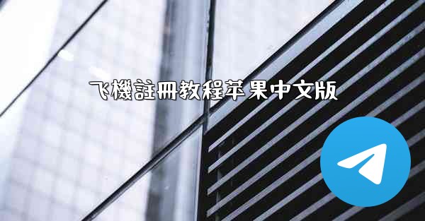 飞機註冊教程苹果中文版