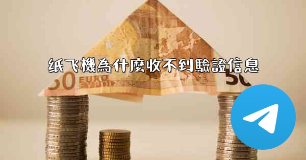 纸飞機為什麼收不到驗證信息