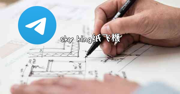 sky king纸飞機