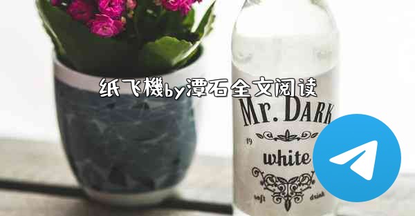 纸飞機by潭石全文阅读