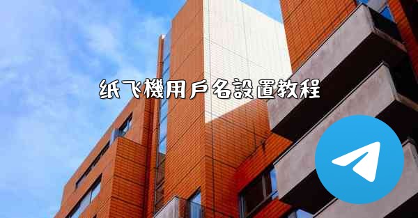 纸飞機用戶名設置教程