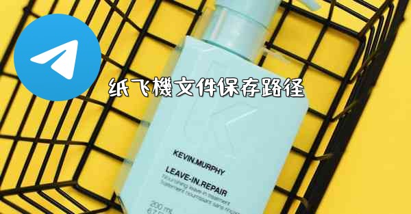 纸飞機文件保存路径