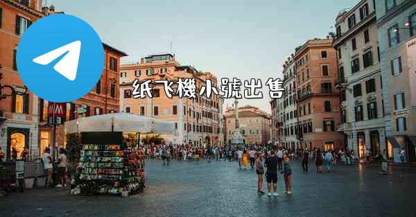 纸飞機小號出售