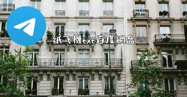 纸飞機txt百度網盘