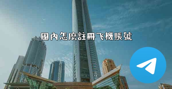 國內怎麼註冊飞機賬號