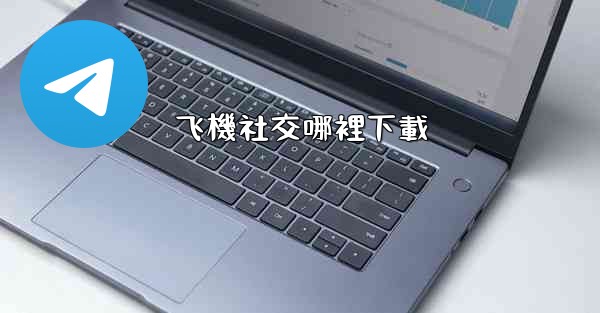 飞機社交哪裡下載