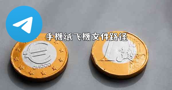 手機纸飞機文件路径