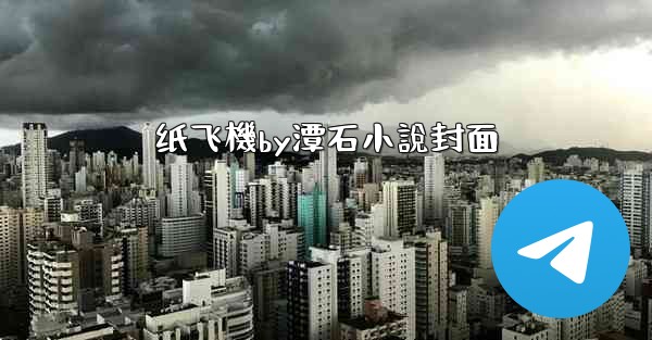 纸飞機by潭石小說封面