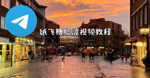 纸飞機驗證视频教程