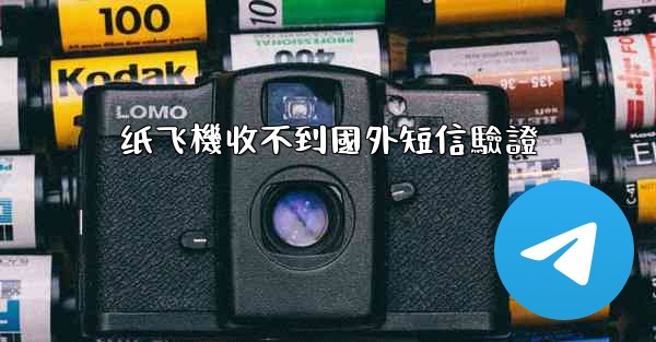 纸飞機收不到國外短信驗證