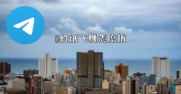 猎豹纸飞機怎麼折