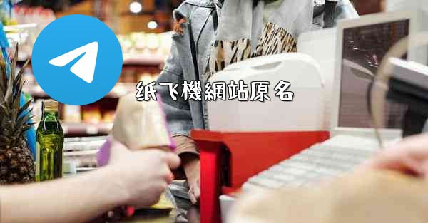 纸飞機網站原名