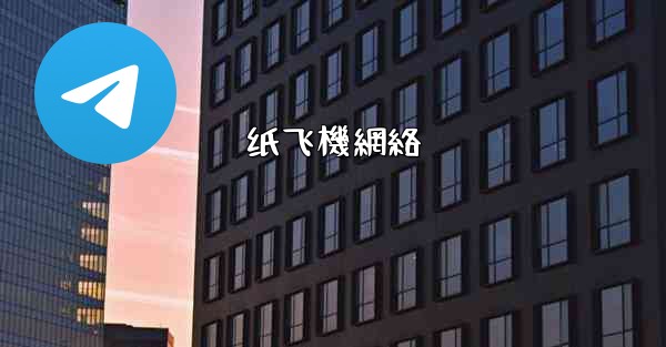 纸飞機網絡