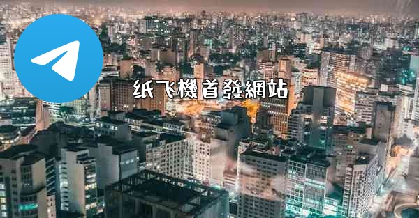 纸飞機首發網站