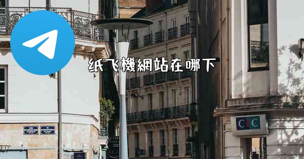 纸飞機網站在哪下