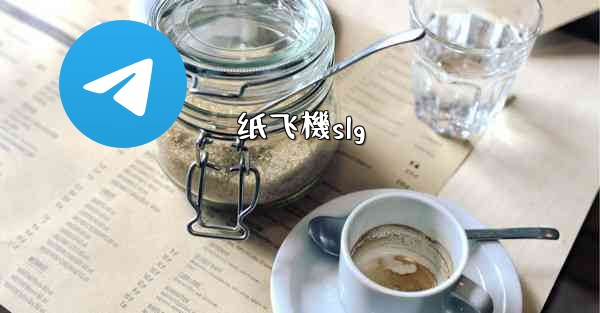 <b>纸飞機slg</b>