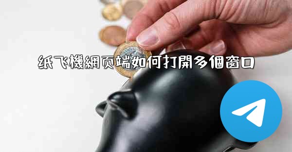 纸飞機網页端如何打開多個窗口