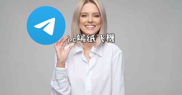 pc端纸飞機