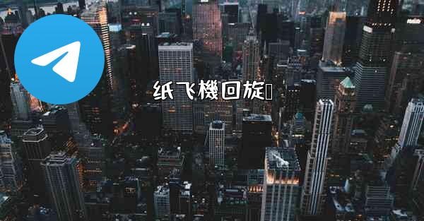 纸飞機回旋镖
