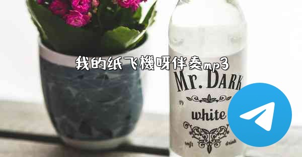 我的纸飞機呀伴奏mp3