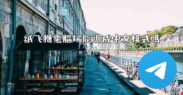 纸飞機電腦端能调成中文模式嗎