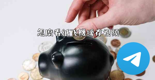 怎麼看纸飞機缓存视频