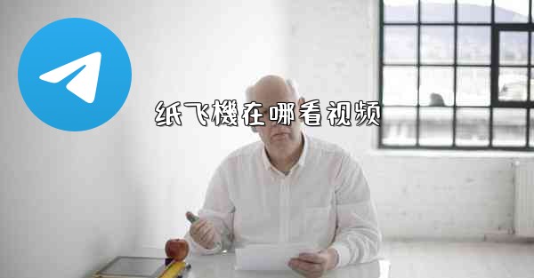 纸飞機在哪看视频