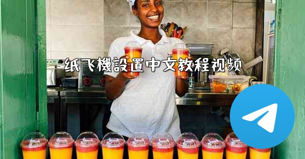 纸飞機設置中文教程视频