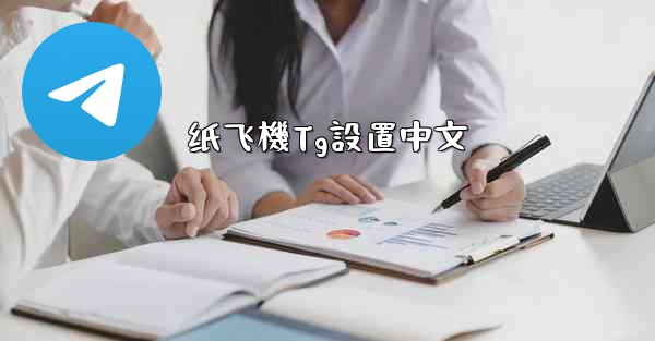 纸飞機Tg設置中文