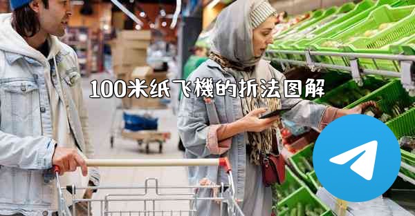 100米纸飞機的折法图解