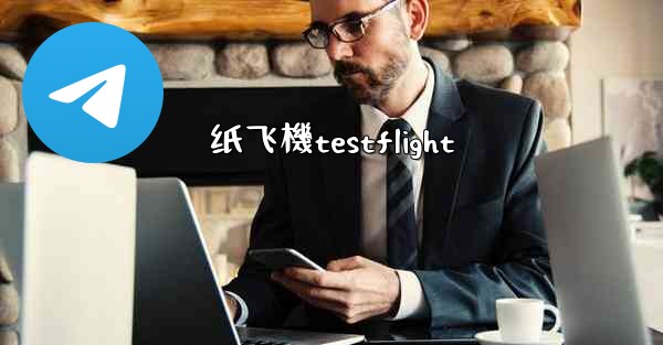 纸飞機testflight