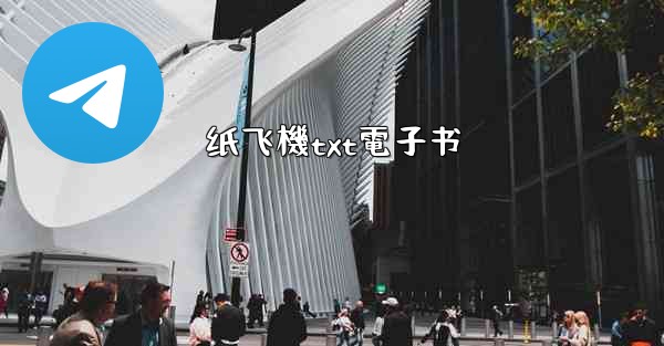 纸飞機txt電子书