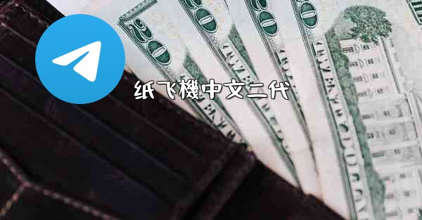 纸飞機中文二代