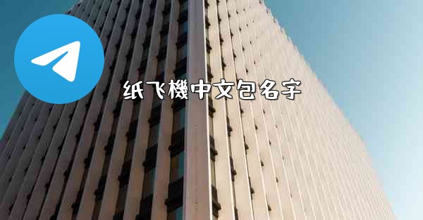 纸飞機中文包名字